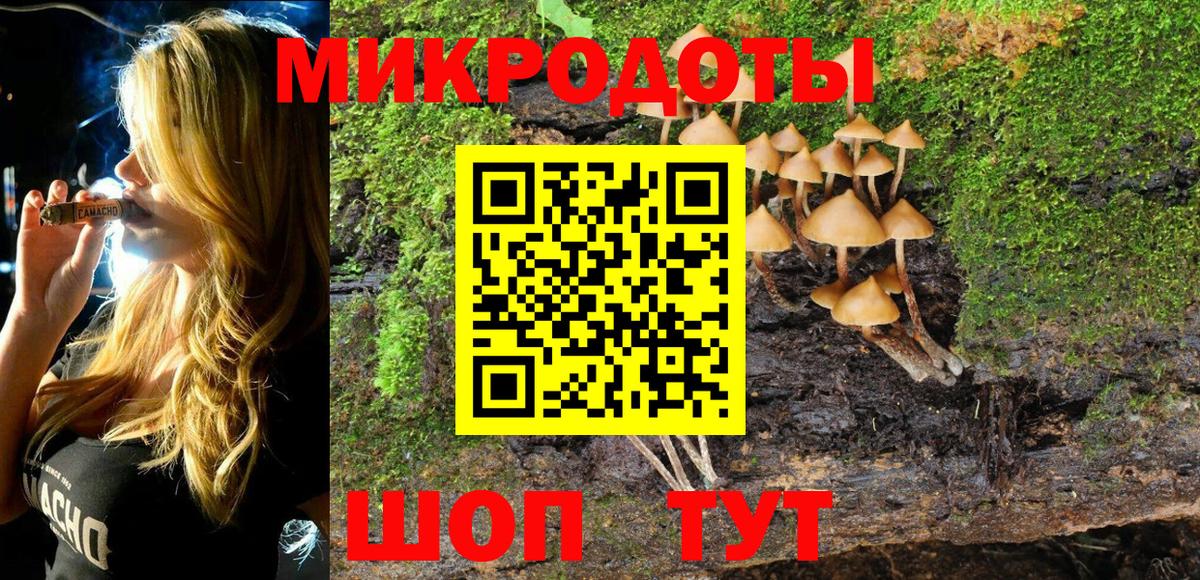 Галлюциногенные грибы мухоморы Протвино